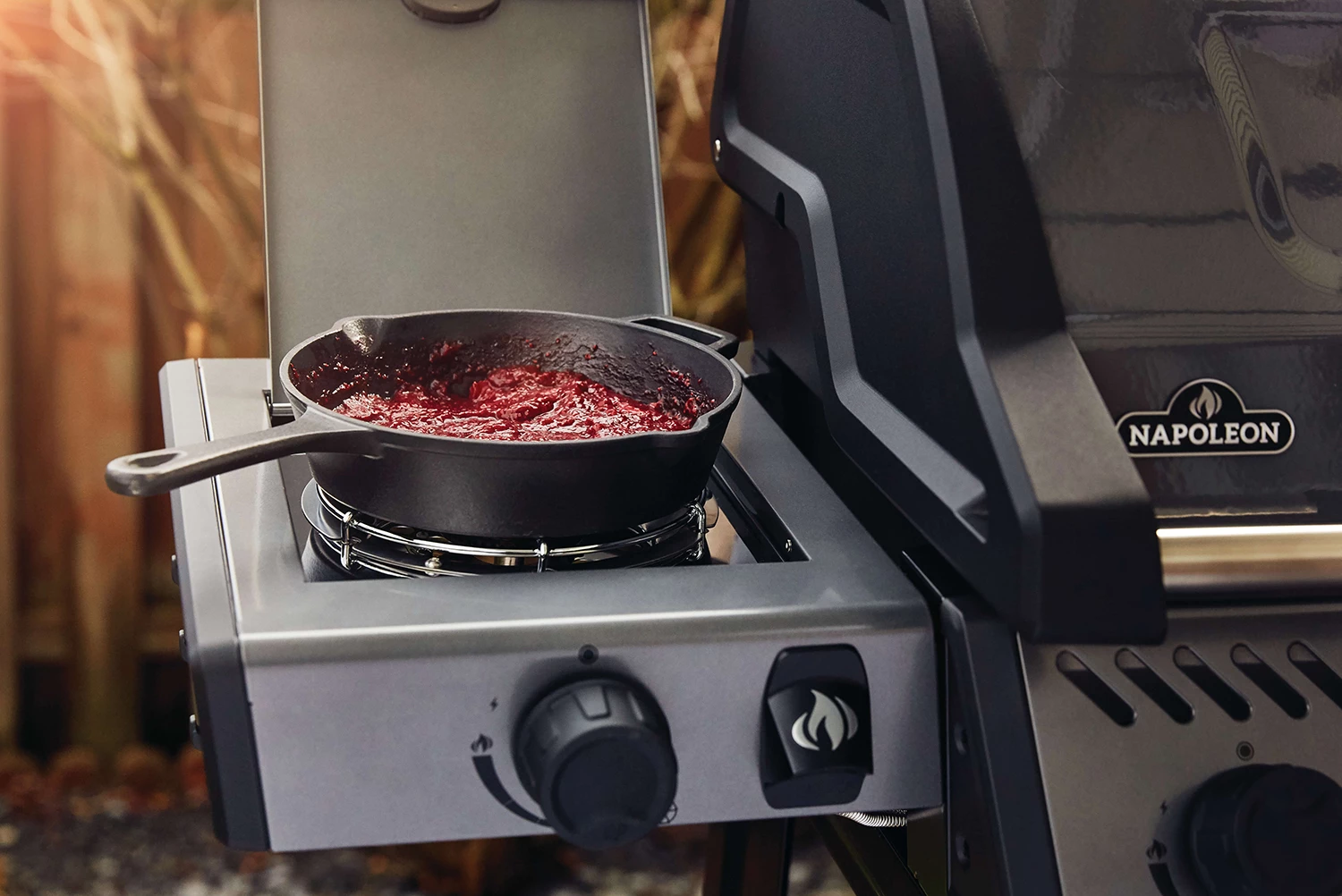 Napoleon Freestyle 365 Gasgrill, Graphit - Mit Seitenbrenner - Modell 2023 - X-DEAL Inkl. Abdeckhaube Und Gussplatte – Bild 19