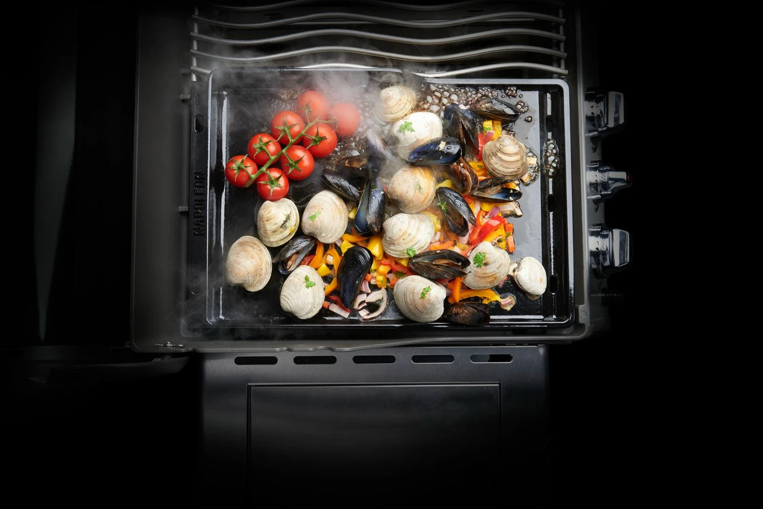 Napoleon Plancha Gusseisen Porzellanemailliert, 30 X 45,5 Cm - Passend Ab Rogue 425 (auch XT Und SE) – Bild 2